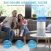 US DircteSTEALTH Air Purifier for Home, H13 True HEPA Filter, Covers up to 323 sq.ft, Remove 99.97% of Airborne particles Such as Smoke, Dust, Odors, Pets Hair in Bedroom, Desktop Air Purifiers, JAP230W