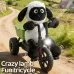 XN Toys 2880 RTR 2.4G RC Car Little Lamb Tricycle Crazy Fun Drift Stunt High Speed Racing LED Light Full Proportional Remote Control Cartoon Sheep Cycling Vehicles Modes