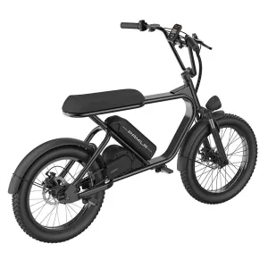 UDIRECT PAMILA E3 Electric Bike 15.6Ah 48V 1000W Mid Motor Recommended Top Speed 25KM/H 20*3.0 Inches Tire Electric Bike 50-60km Mileage Max Load 150Kg
