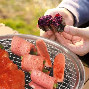 IPRee Portable BBQ Charcoal Grill Stainless Steel Mini Outdoor Camping With Wire Mesh Grill Barbecue Stove