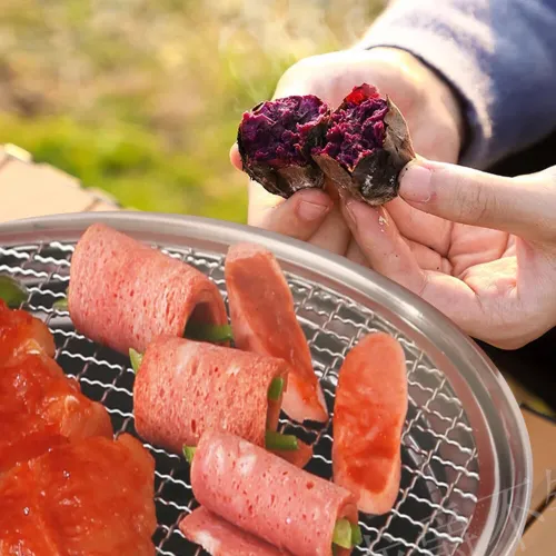 IPRee Portable BBQ Charcoal Grill Stainless Steel Mini Outdoor Camping With Wire Mesh Grill Barbecue Stove