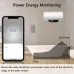 Tuya 20A WiFi Smart Switch Circuit Breaker APP Control Power Monitor Overload Protection Works with Alexa Google Home Siri