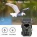 Mini700 Outdoor Solar Wild Camera 20MP 1080P HWild Animal Detect Trail Camera Monitoring Infrared Sensing Night Vision