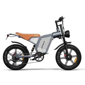 EDirect JANSNO X60 Electric Bike 48V 23AH Battery 750W*2 Dual Motors Recommended Top Speed 25KM/H 20inches Tires 80KM Max Mileage 150KG Max Load Electric Bicycle