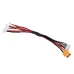 URUAV XH4S/6S Connecter XT60 Plug to PH2.0 Plug for 1S Lipo Battery