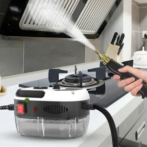 2500W High Temperature Steam Cleaner 220V EU Plug High Pressure Sterilization for for Home Use Car Air Conditioning Kitchen Hood Home Use