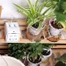 Tuya WIFI Smart Garden Intelligent Watering Device 20 Pots Double Pump Timed Automatic Drip Irrigation System Remote APP Controller for Garden Terrace