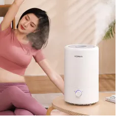 Humidifier 250ML/H Humidification 4L Large Capacity Fog Machine Adding Water for Home Office Humidity Control Low Noise Desktop Bedroom Aromatherapy Humidifier