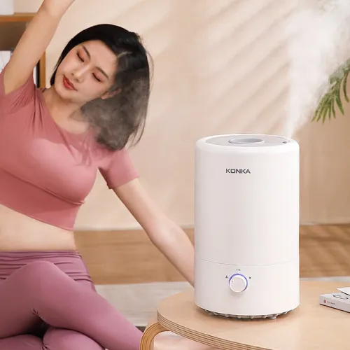 Humidifier 250ML/H Humidification 4L Large Capacity Fog Machine Adding Water for Home Office Humidity Control Low Noise Desktop Bedroom Aromatherapy Humidifier