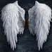 30*40 cm Angel's Wings Wall Hanging Painting Living Room Background Home Living Bedroom Decoration Drawing