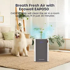 US Direct ECOWELL Air Purifiers for Bedroom, H13 HEPA Air Purifiers for Home Office Living Room, Air Filter Air Cleaner for Pet Dander Odors Smoke Pollen Dust, Small Air Purifier with 28dB Sleep Mode, EAP050