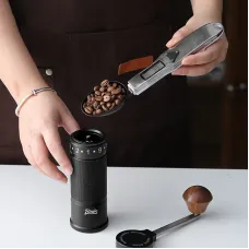 Bincoo Digital Spoon Scale High-precision 0.1g~500g Switchable Stainless Steel Measuring Spoon Baking Food Electronic Kitchen Scale