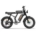 EDIRECT URLIFT2 Electric Bike 48V 15.6AH 500W(Peak 1500W) Motor Recommended Top Speed 25KM/H 20inch Fat Tire 160KM Max Mileage 120KG Max Load Electric Bicycle
