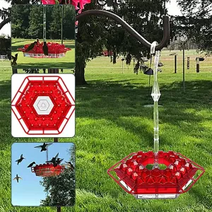 Hand-Blown Hummingbird Feeder Multi-Feed Ports Easy Clean Mount Acrylic Outdoor Hanging Bird Feeder Wind Chimes Design Perfect Gift For Wild Bird Feeder Garden Yard