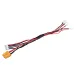 URUAV XH4S/6S Connecter XT60 Plug to PH2.0 Plug for 1S Lipo Battery