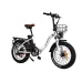 USA DIRECT DRVETION CT20 Electric Bike 48V 15AH Battery 750W Motor Recommended Top Speed 25KM/H 20*4.0inch Fat Tires 40-80KM Max Mileage 150KG Max Load Folding Electric Bicycle