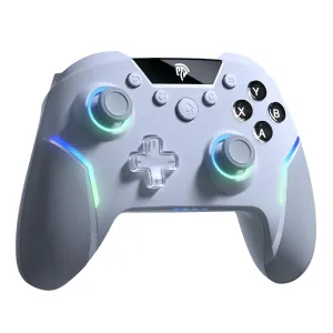 EasySMX ESM-X20 Wireless Gaming Controller Dual Hall Trigger 3-Mode Detachable Hall Joystick RGB Light 1000Hz Polling Rate Gryo 2.4G/bluetooth/Wired Gamepad for Switch/PC/Steam Deck