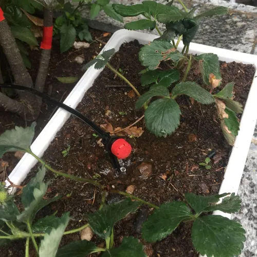 10PCs 8 Holes Water Irrigation Drip Sprinkler Head For 4/7mm Pipe Garden Irrigation Greenhouse Planting