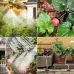 40m DIY Garden Water Irrigation Flowering With Timer Outdoor Cooling Greenhouse Planting Dripping System