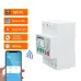 Tuya Smart Leakage Circuit Breaker WIFI Energy Meter Kwh Metering Switch Timer with Voltage Current and Leakage Protection APP Control