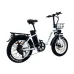 USA DIRECT DRVETION CT20 Electric Bike 48V 20AH Battery 750W Motor Recommended Top Speed 25KM/H 20*4.0inch Fat Tires 80-110KM Max Mileage 150KG Max Load Folding Electric Bicycle
