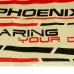 VolantexRC PhoenixS 742-7 742-3 742-6 4 Channel 1600mm Wingspan EPO RC Airplane Spare Part Decals