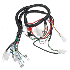 Electric Wiring Harness Wire Loom CDI Motor Stator Full Set For ATV QUAD 150/200/250CC