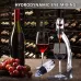 Portable Quick Decanter Red Wine Decanter Set Wine Decanter Wine Dispenser Red Wine Decanter Filter Wine Pourer Filter