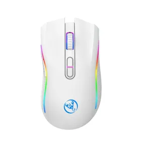 HXSJ T69 2.4G Wireless Gaming Mouse with RGB Lighting 1000-4800DPI Type-C Rechargeable 650mAh 8 Button Mouse for PC Gaming Office Working