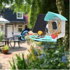 ZANLURSmart Solar Rechargeable Bird Feeder Camera 1080P HLive Stream Video Files Sharing Real-time Motion Detection Auto-capture ABirds Recognition IP65 Waterproof Wildlife Photography