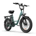 EDIRECT URLIFE20 Electric Bike 48V 13AH 500W(Peak 1000W) Motor Recommended Top Speed 25KM/H 20inch Tire 130KM Max Mileage 120KG Max Load Electric Bicycle