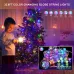 iDeal LED APP Smart Festival Decoration Small White Ball USB Magic Color Point Control Light String Villa 8 Function Leather Line Light String Garden Starry Sky Decorative Light