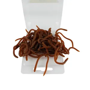 ZANLUR20/50 Pcs Fishing Lures Artificial Soft TPBaits Shrimp Bass Carp Fishing Tackle