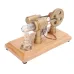 LL-007 Power Generation Stirling Engine Model Science Discovery Education Desktop Decorations Collection Toys