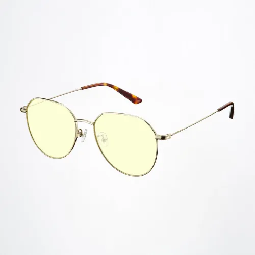 ANDZ Anti-blue Glasses Metal Geometric Frame Polarized Sunglasses Bike Bicycle Cycling Eyewear Driving