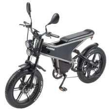 EDIRECT RANDRIDDM711 Electric Bike 48V 20Ah 1000W*2 Dual Motor 20 Inch Tires Electric Bike 50-60KM Mileage Disc Brake 200KG Max Load Electric Bicycle