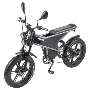 EDIRECT RANDRIDDM711 Electric Bike 48V 20Ah 1000W*2 Dual Motor 20 Inch Tires Electric Bike 50-60KM Mileage Disc Brake 200KG Max Load Electric Bicycle