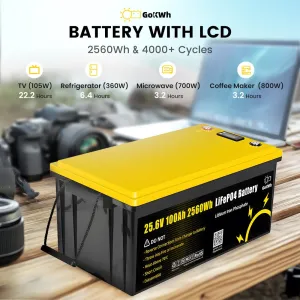 Gokwh 24V 100Ah with LCD Energy Storage Box Solar Lithium ion Lifepo4 Battery for RV Boat Home Energy Storage