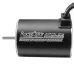 Racerstar 3650 Motor Brushless Waterproof Sensorless 1/10 RC Car Part 5900/4300/3900/2300KV