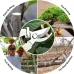 Garden Scissors for Plant Tip Pruning Shears for Cutting Flowers Trimming Plants Bonsai and Fruits Picking Bypass Blade Pruner