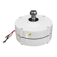 100W 12V 24V Three-phase Current PMSG Generator White For Wind Turbine