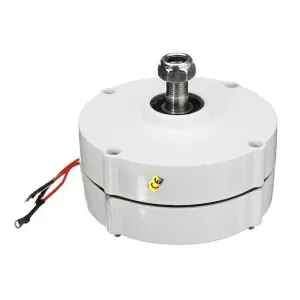 100W 12V 24V Three-phase Current PMSG Generator White For Wind Turbine