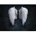 30*40 cm Angel's Wings Wall Hanging Painting Living Room Background Home Living Bedroom Decoration Drawing