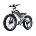 EDIRECT DUOTTN26 Electric Bike 48V 20Ah Battery 750W*2 Dual Motors Recommended Top Speed 25KM/H 26*4.0inch Fat Tires 80-100KM Max Mileage 150KG Max Load Electric Bicycle