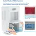 3L Large Capacity Dehumidifier and Air Purifier 2 in 1 Professional Moisture Absorbers Air Dryer for Home
