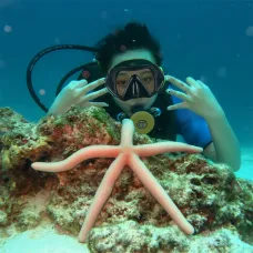 UDirect DEDEPS3000-A 0.5L Scuba Tank with Adapter Diving Equipment Underwater Outdoor Mini Dive Scuba Cylinder Diving Air Tank