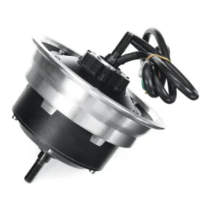 HM 60V 3000W 11 Inch Electric Scooter Motor Suitable For ANGWATT1