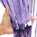 1 x 2M Metallic Foil Fringe Door Curtains Party/Christmas/Birthday/Wedding Photo Booth Props Backdrop Decor