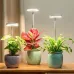 1 To 3 Angel Ring USB Plant LED Light with 3 Lamp Heads 2/4/8 Hours Switch Timer 4 Level Brightness Adjustment Suitable for Indoor Plant Growth