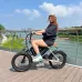 UDIRECT PAMILA E3 Electric Bike 15.6Ah 48V 1000W Mid Motor Recommended Top Speed 25KM/H 20*3.0 Inches Tire Electric Bike 50-60km Mileage Max Load 150Kg